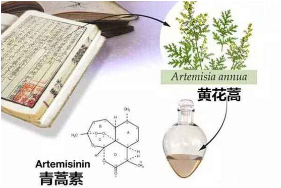 雷速官方（中国）有限公司官网,：向中医药看齐，与世界共享中医药文化(图1)